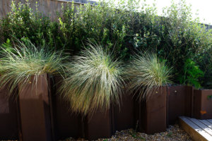 sea dune garden design