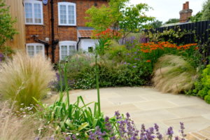 orange Jewel coloured garden