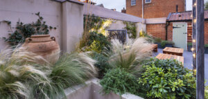 courtyard garden design